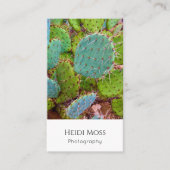 QRコードデザートカボスプロフェッショナル写真家 名刺 (正面)