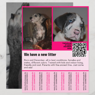 QRコード付き子犬販売チラシテンプレート
