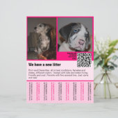 QRコード付き子犬販売チラシテンプレート (スタンド正面)