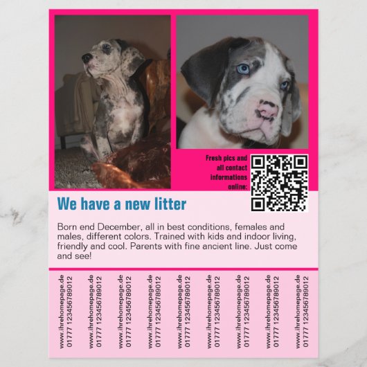 QRコード付き子犬販売チラシテンプレート チラシ (正面)