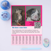 QRコード付き子犬販売チラシテンプレート チラシ (シングル)