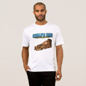 QRコード付き絶対ゼロTシャツ Tシャツ (正面フル)