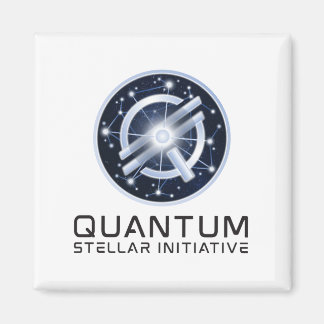 QSIマグネット マグネット