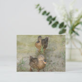 Quackを送信フレンドリー中 – ポストカード (スタンド正面)