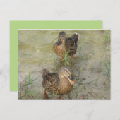 Quackを送信フレンドリー中 – ポストカード (正面/裏面)