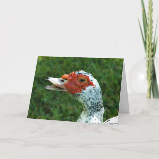 Quackityのにせ医者は応答 カード