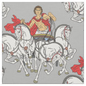 quadriga ファブリック (クローズアップ)