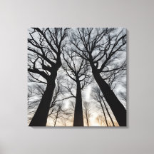 Quadro Árvore seca no deserto