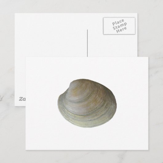 Quahog Clam (無題) ポストカード (正面/裏面)