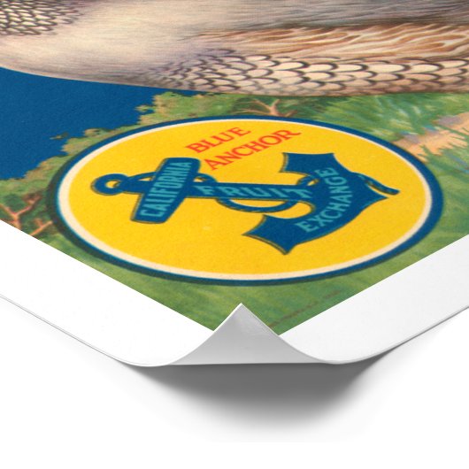 Quail Brand Contra Costa Bartletts ポスター (角)