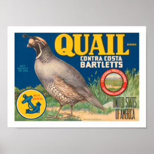 Quail Brand Contra Costa Bartletts ポスター