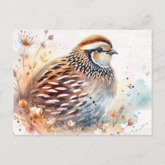 Quail Watercolor Botanical ポストカード (正面)