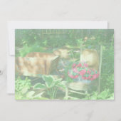 Quaint Flower Garden Bridal Shower  招待状 (裏面)