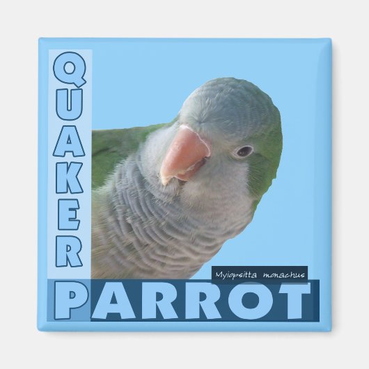 Quaker Paraketの写真 マグネット (正面)