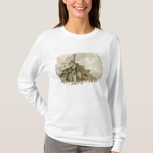 Quangインの石 Tシャツ (正面)