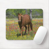 Quarter Horse in Field of Wildflowers マウスパッド (マウス)