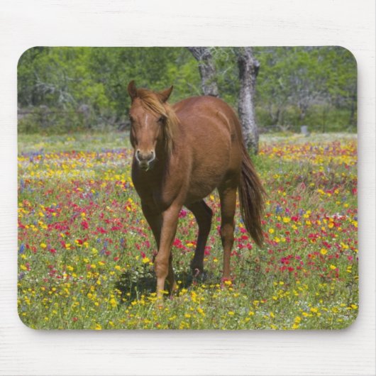 Quarter Horse in Field of Wildflowers マウスパッド (正面)
