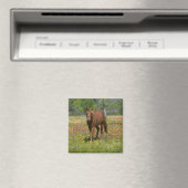 Quarter Horse in Field of Wildflowers マグネット (インサイチュ (食洗機))