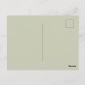 Quatre bouleaux en couleurs, botanique. ポストカード (裏面)