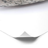 Quatre galets フォトプリント            (角)