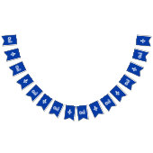 QUEBEC OUI バンティングフラッグ (全)