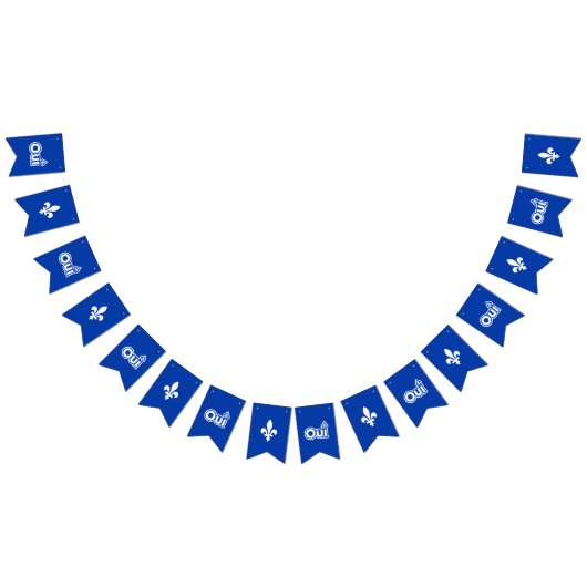 QUEBEC OUI バンティングフラッグ (全)