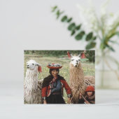 Quechua Womanと2つのLlamas写真 ポストカード (スタンド正面)
