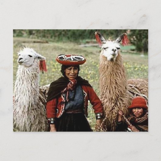 Quechua Womanと2つのLlamas写真 ポストカード (正面)