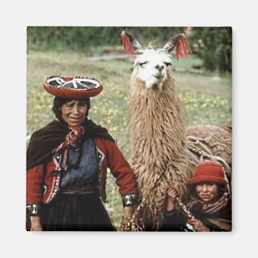 Quechua Womanと2つのLlamas写真 マグネット (正面)