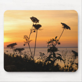 Queen Anne's Lace at Sunset - Fishers Island, NY マウスパッド