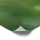 Queen Anne's Lace Flower自然ポスター36" x 24" ポスター (角)