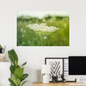 Queen Anne's Lace Flower自然ポスター36" x 24" ポスター (ホームオフィス)