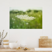 Queen Anne's Lace Flower自然ポスター36" x 24" ポスター (キッチン)