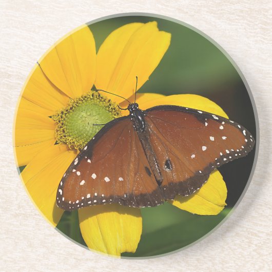 Queen Butterfly on yellow flower コースター (正面)