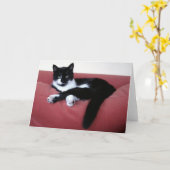 Queen Cat 2フォトカード/ブラザーキャットin bath Rear カード (黄色い花)