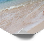 Queen Conch on the Beach, Bahamas ポスター (角)