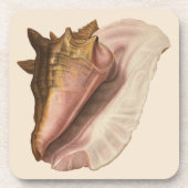 Queen Conch Seashell Shell, Vintage Marine Life コースター (正面)