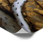 Queen Elizabeth I: Coronation ポスター (角)