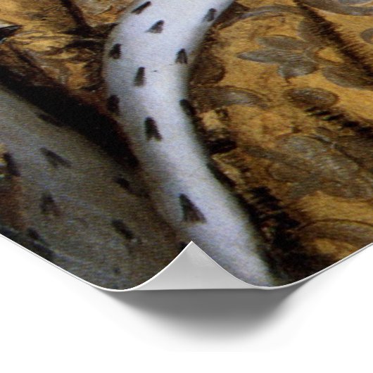 Queen Elizabeth I: Coronation ポスター (角)