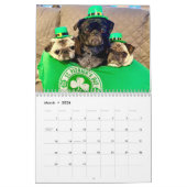 Queen Lulu the Pug 2022カレンダー カレンダー (3月 2026)