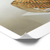 Queen Nefertitiのバスト、scのスタジオ ポスター (角)