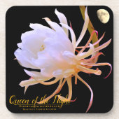 Queen of the Night コースター (正面)