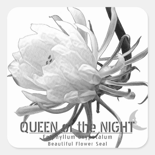 Queen of the Night スクエアシール (正面)