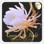 Queen of the Night スクエアシール (正面)