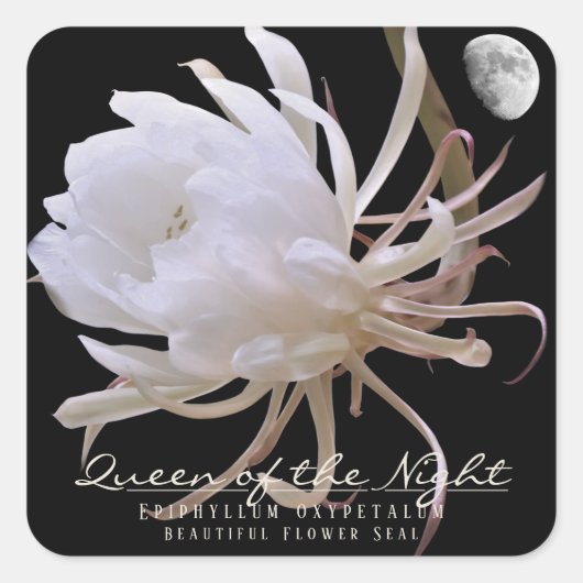 Queen of the Night スクエアシール (正面)