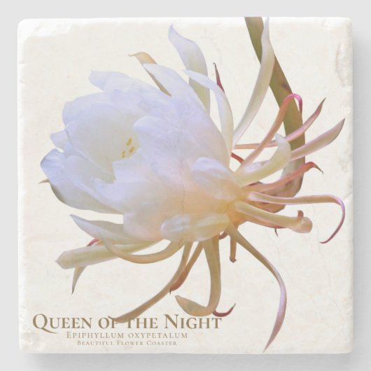 Queen of the Night ストーンコースター (正面)
