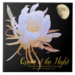 Queen of the Night タイル
