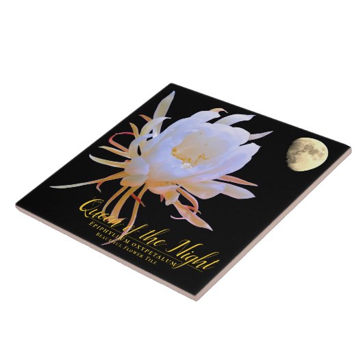 Queen of the Night タイル (側面)