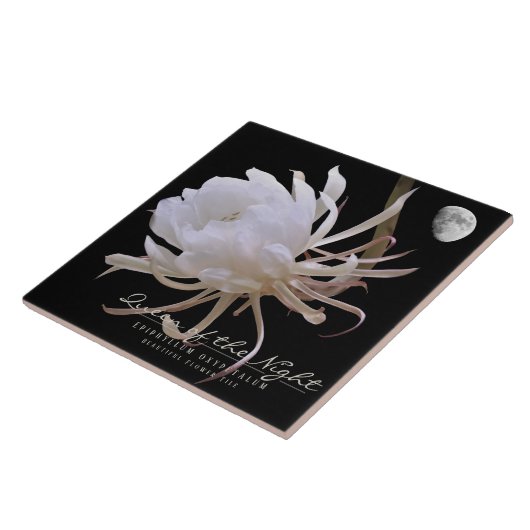 Queen of the Night タイル (側面)