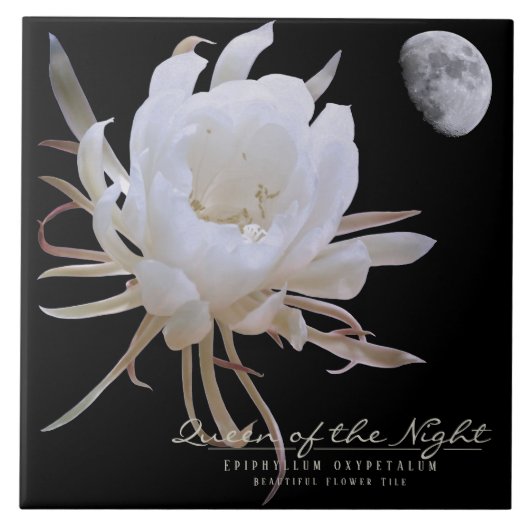 Queen of the Night タイル (正面)